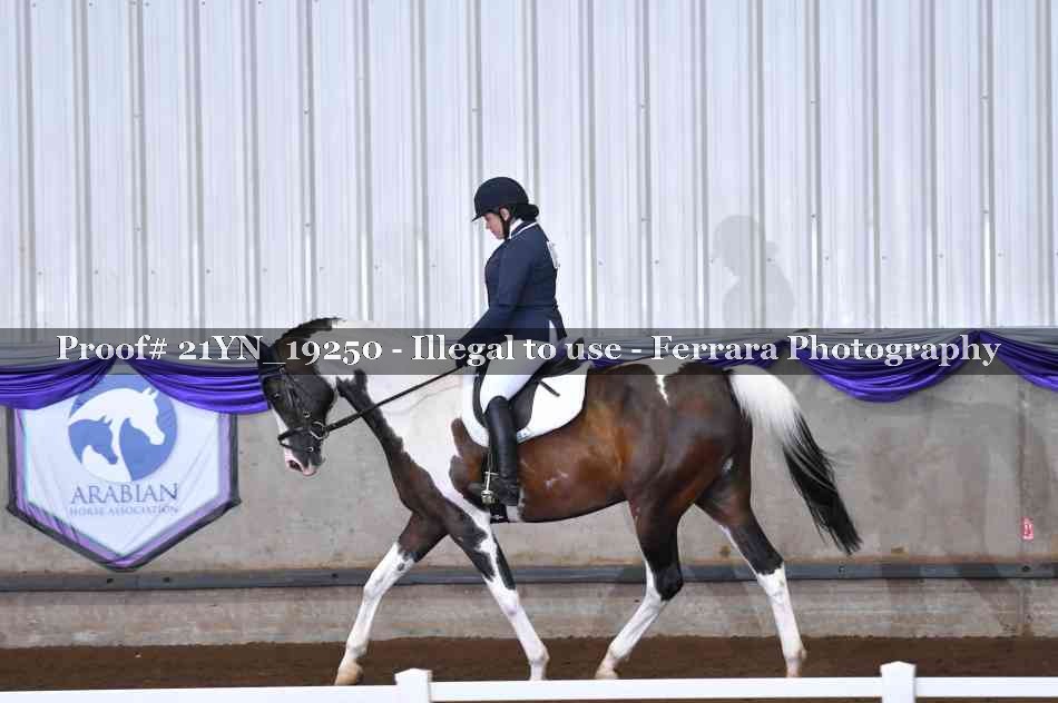 Proof 21YN_19250