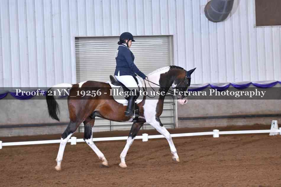 Proof 21YN_19256