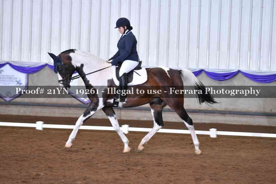 Proof 21YN_19261
