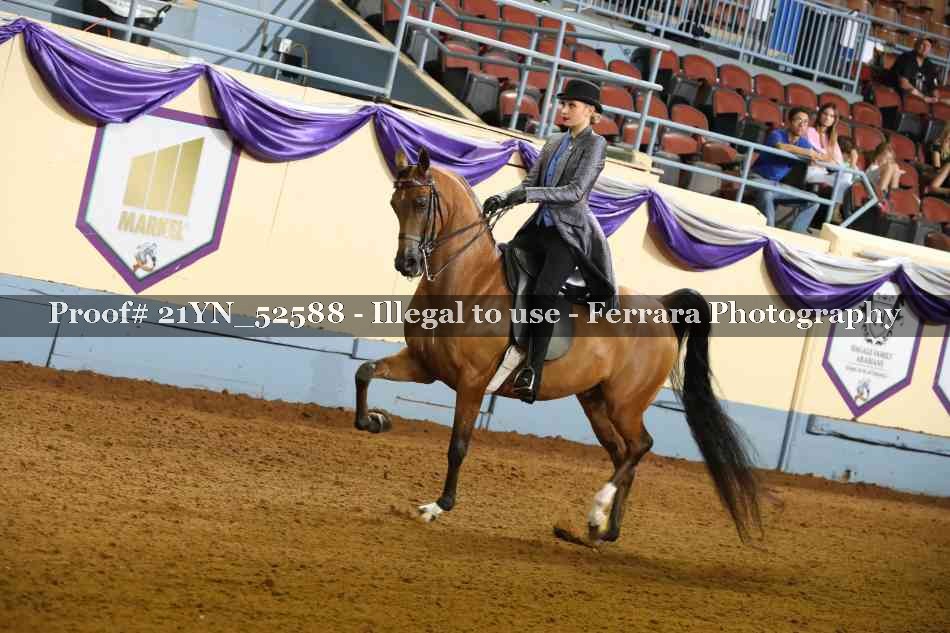 Proof 21YN_52588