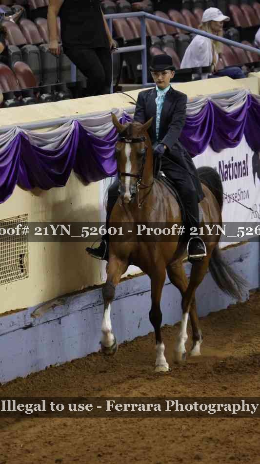 Proof 21YN_52601