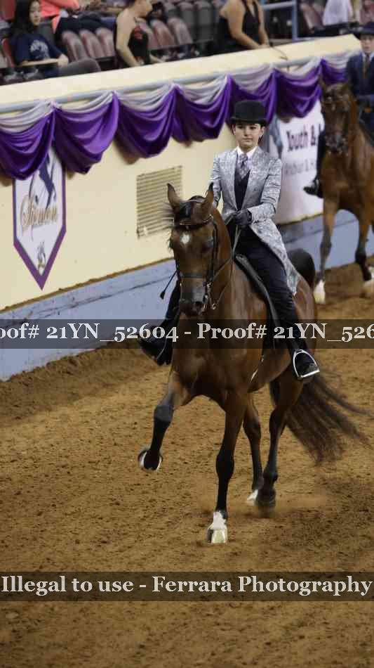 Proof 21YN_52604