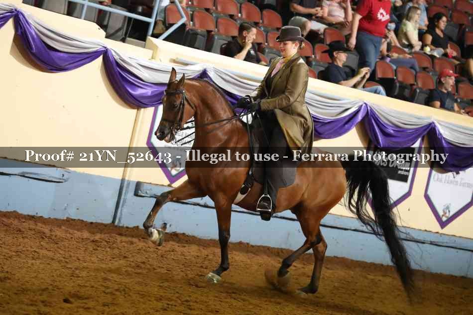 Proof 21YN_52643