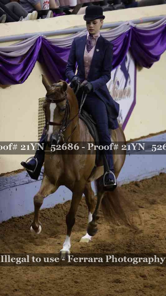 Proof 21YN_52686