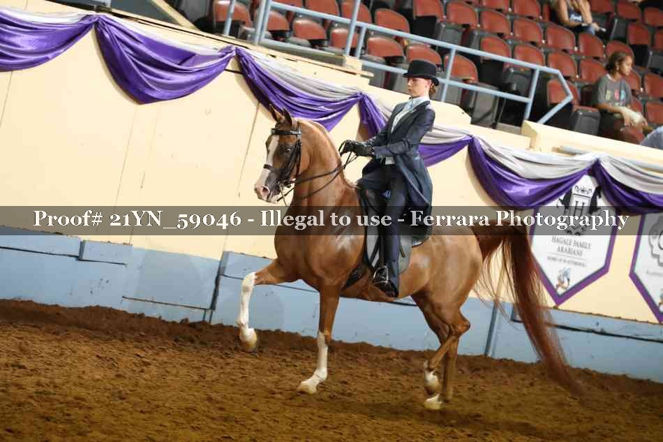 Proof 21YN_59046