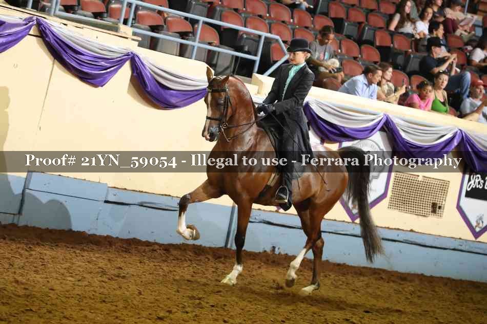 Proof 21YN_59054