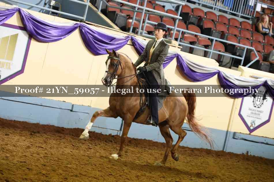 Proof 21YN_59057