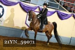 21YN_59071 proof
