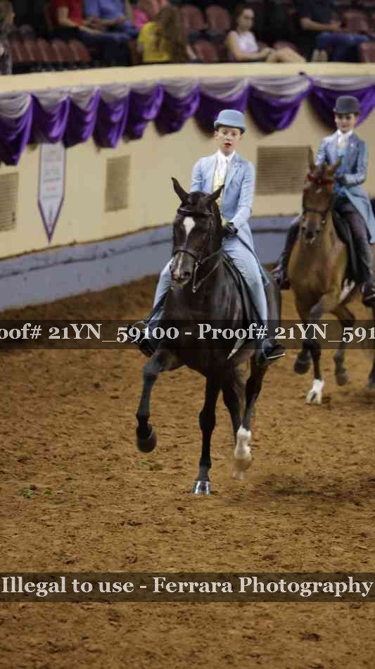 Proof 21YN_59100