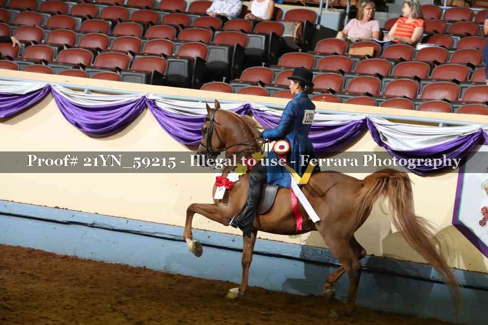 Proof 21YN_59215