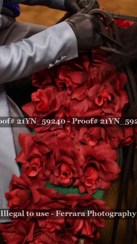 Proof 21YN_59240