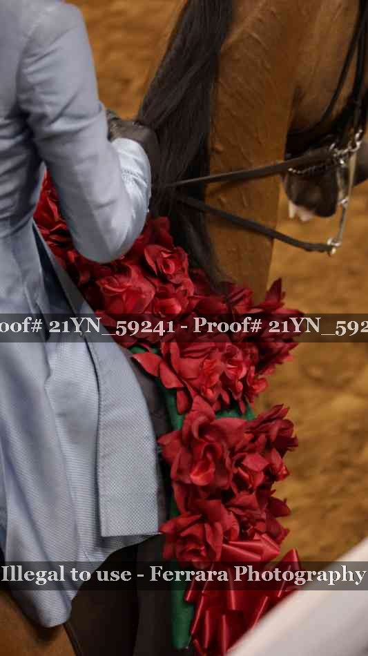 Proof 21YN_59241