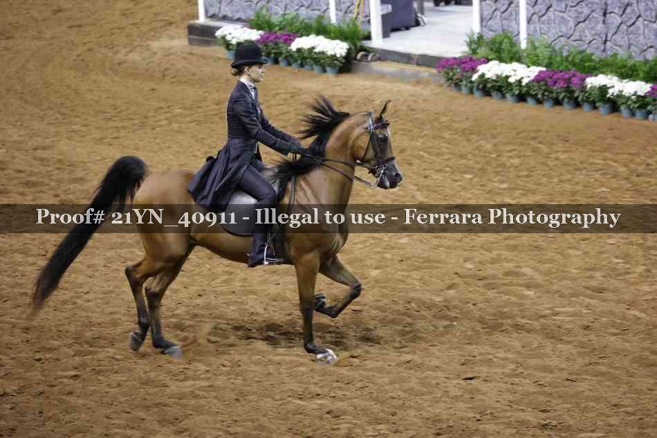 Proof 21YN_40911