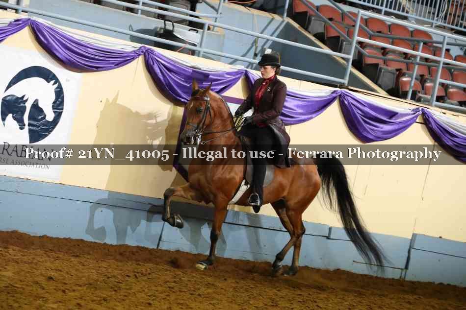 Proof 21YN_41005