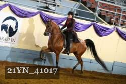 21YN_41017 proof