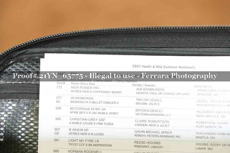 Proof 21YN_65775