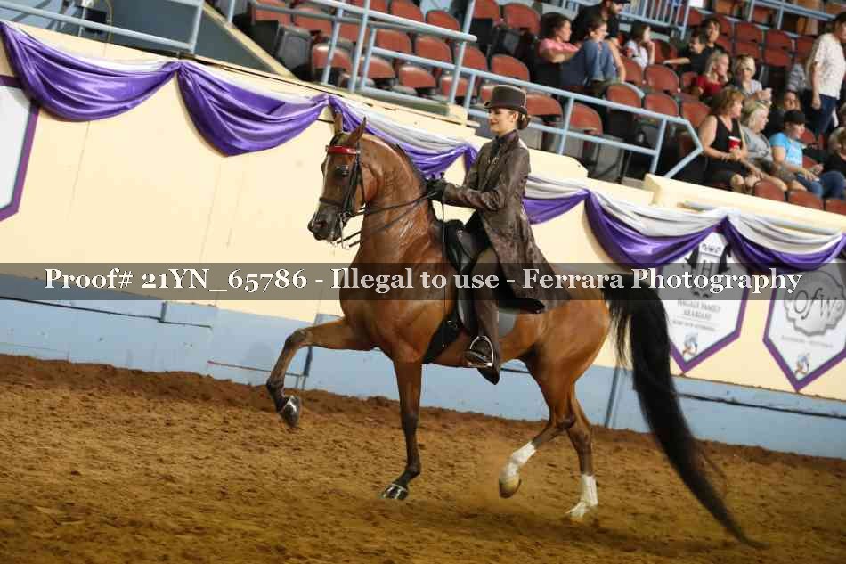 Proof 21YN_65786