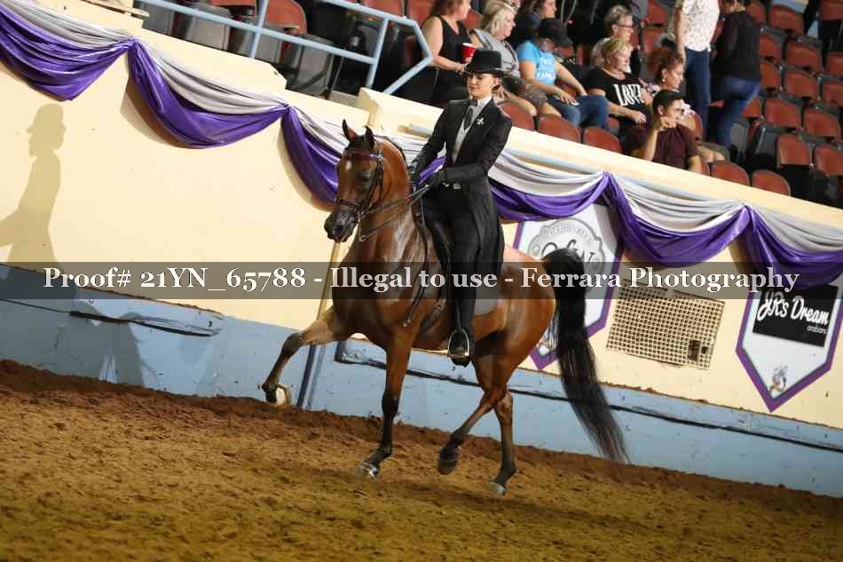 Proof 21YN_65788