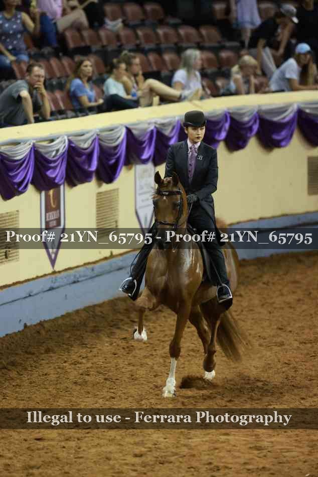 Proof 21YN_65795