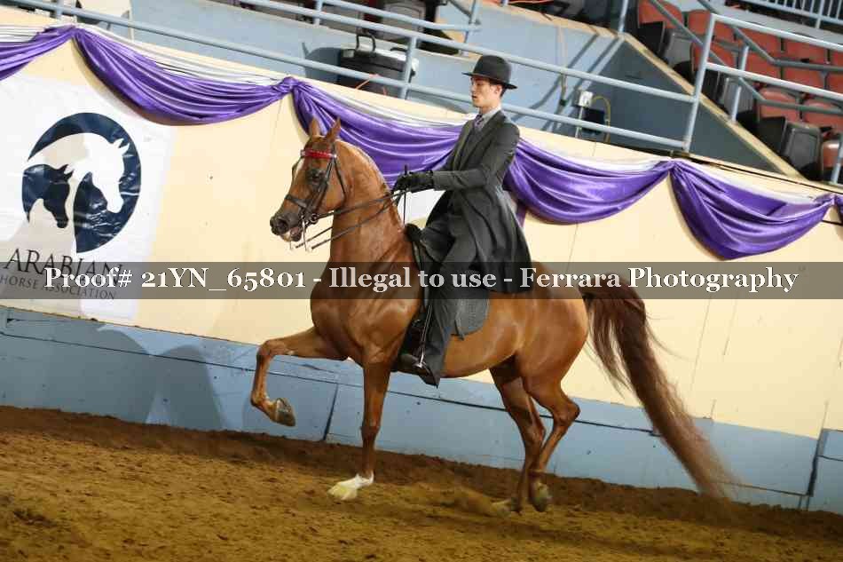 Proof 21YN_65801