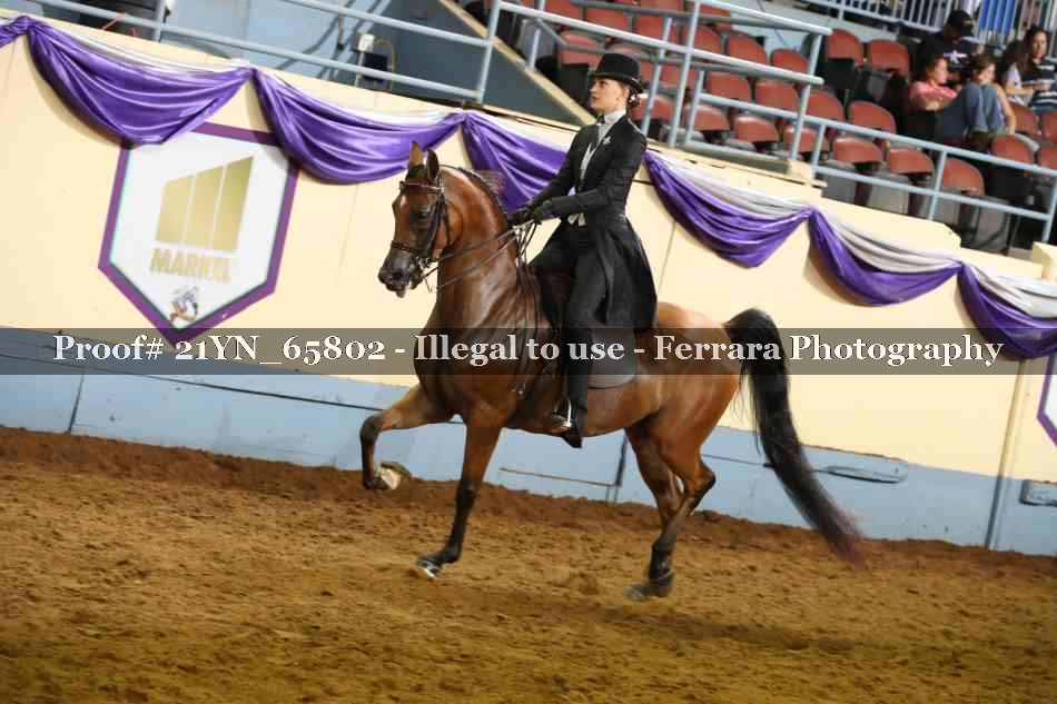 Proof 21YN_65802