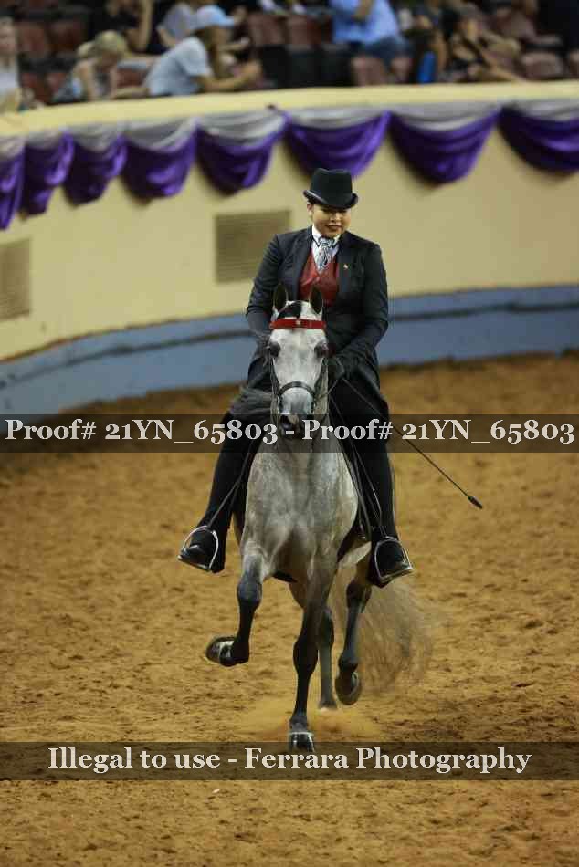 Proof 21YN_65803