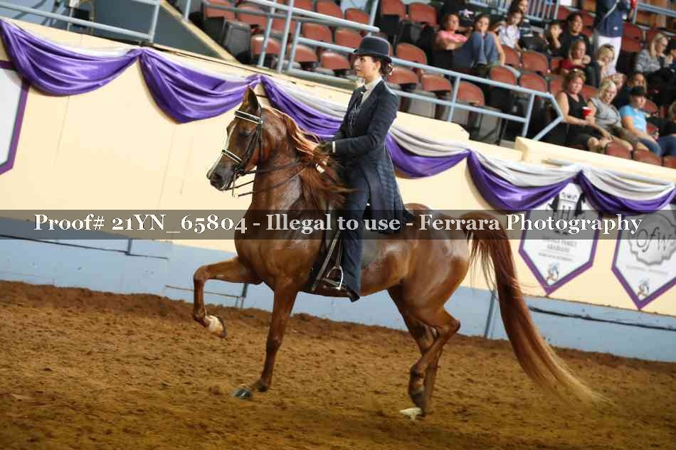 Proof 21YN_65804