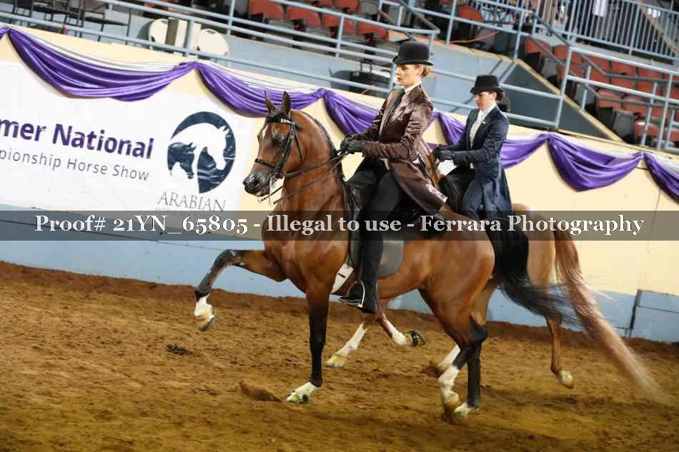 Proof 21YN_65805