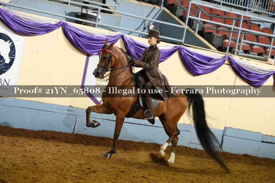 Proof 21YN_65808