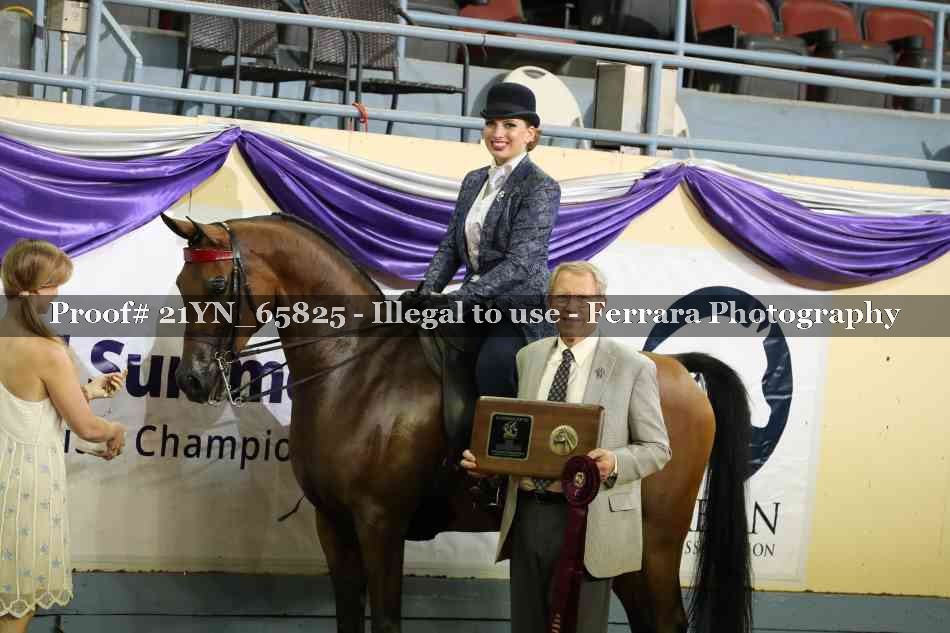 Proof 21YN_65825