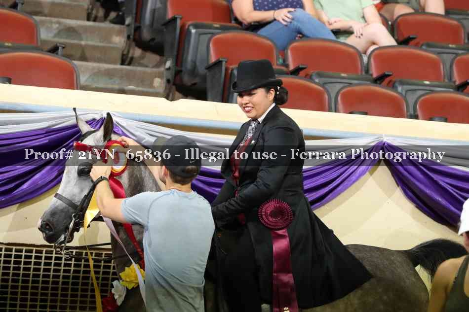 Proof 21YN_65836
