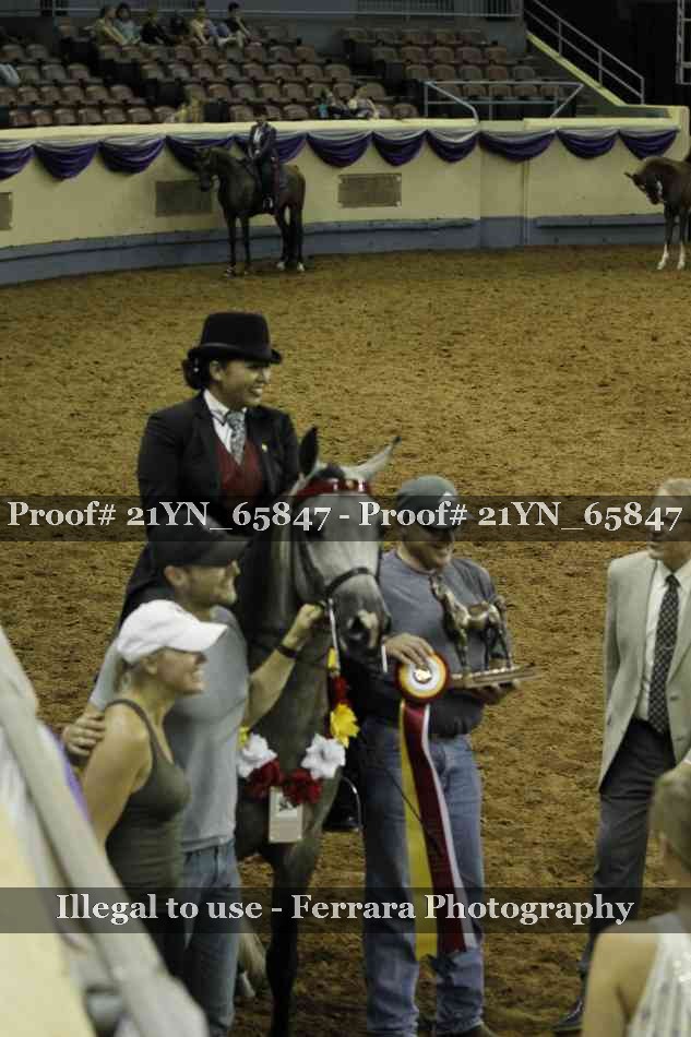 Proof 21YN_65847