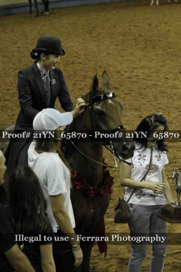 Proof 21YN_65870