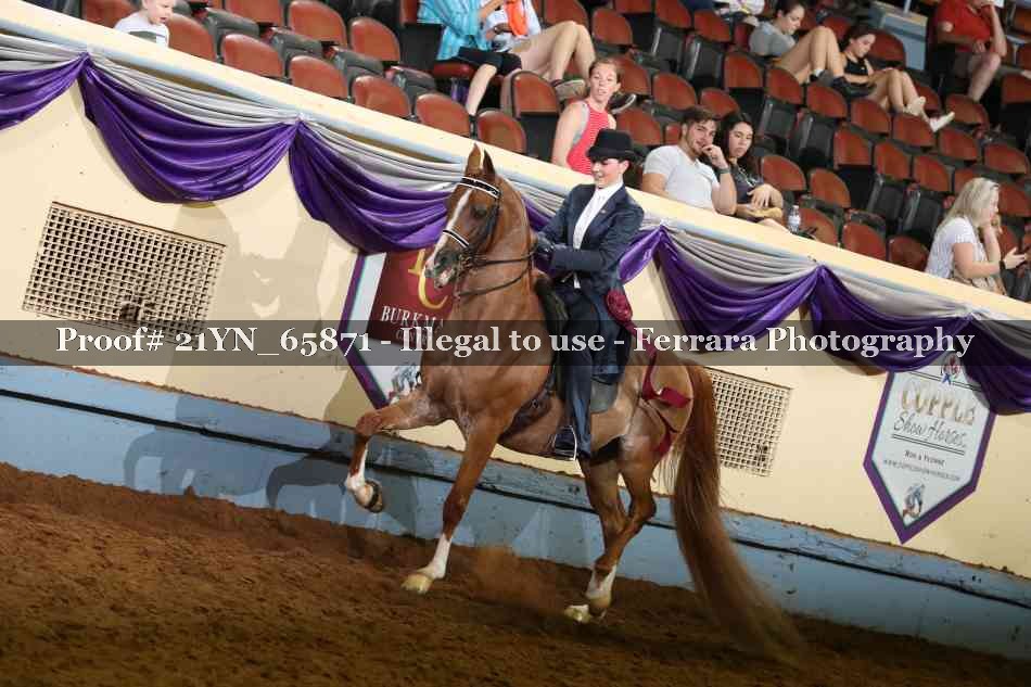 Proof 21YN_65871