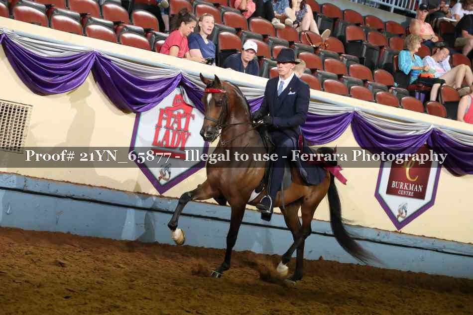 Proof 21YN_65877