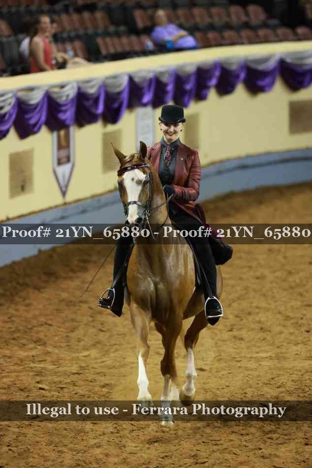 Proof 21YN_65880
