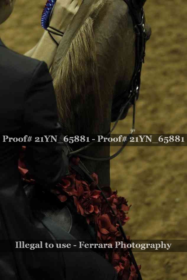 Proof 21YN_65881
