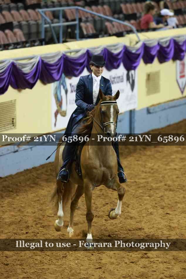 Proof 21YN_65896