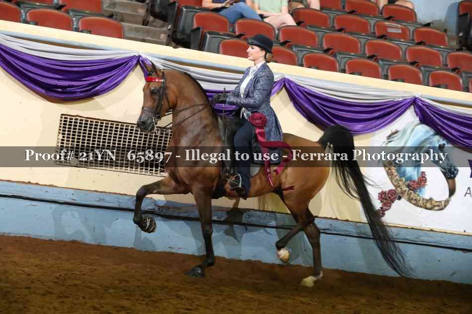 Proof 21YN_65897