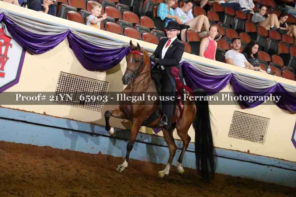 Proof 21YN_65903