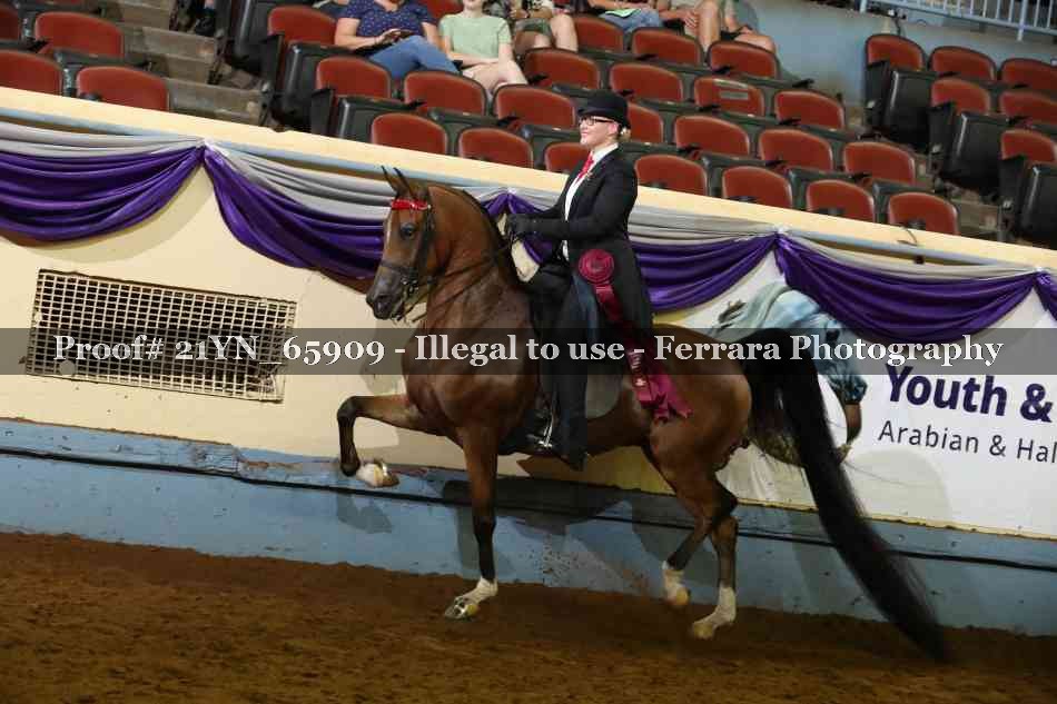 Proof 21YN_65909