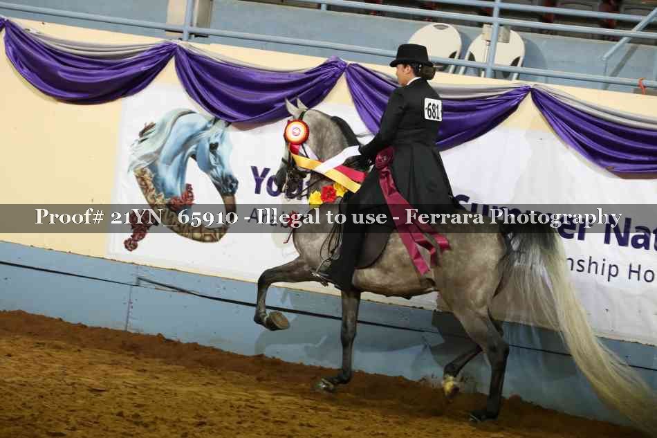 Proof 21YN_65910