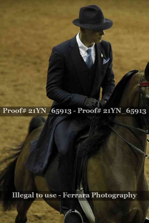 Proof 21YN_65913