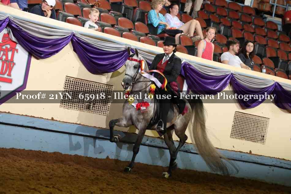 Proof 21YN_65918