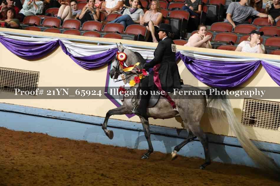 Proof 21YN_65924