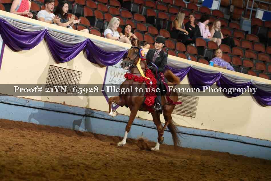Proof 21YN_65928