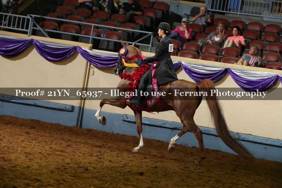 Proof 21YN_65937