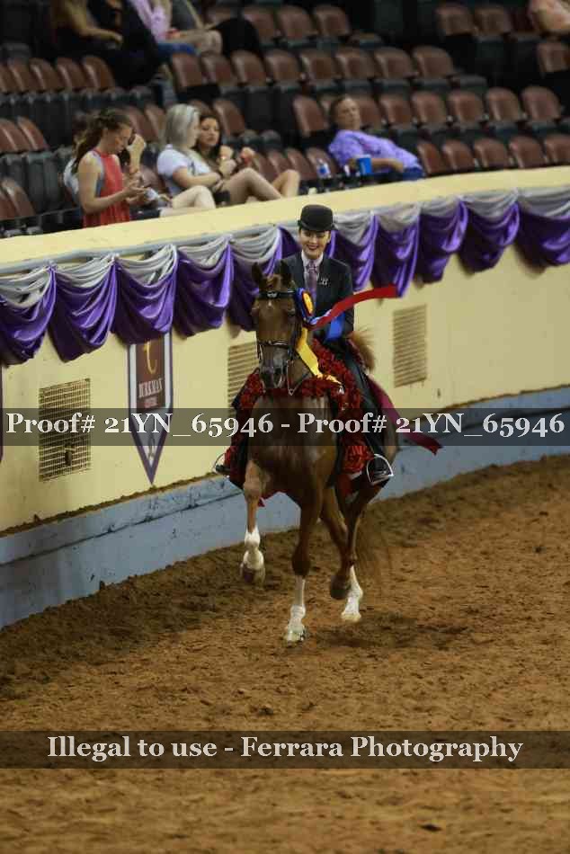 Proof 21YN_65946