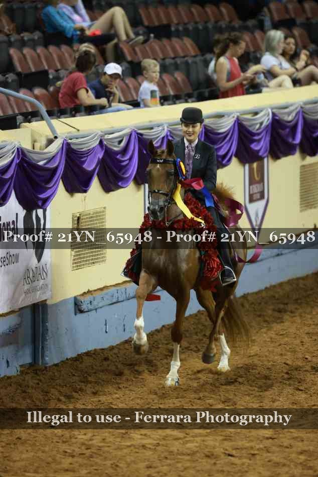 Proof 21YN_65948