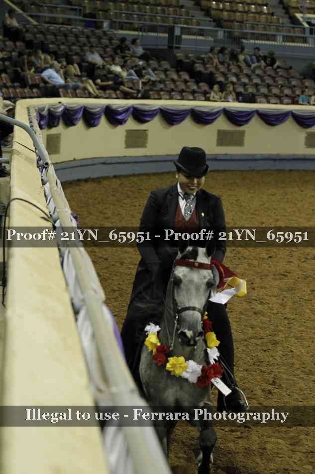 Proof 21YN_65951